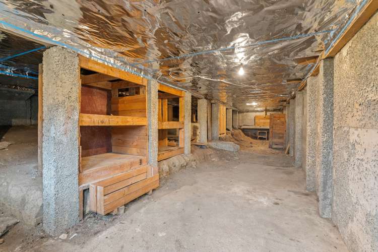 15 Truby King Crescent Liberton_20