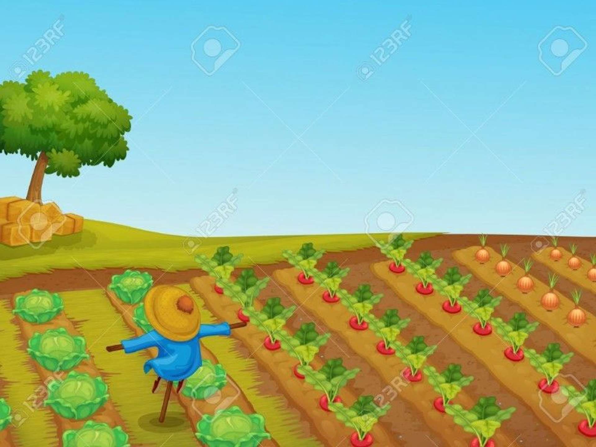 58 Palmerston Street Riverton_0