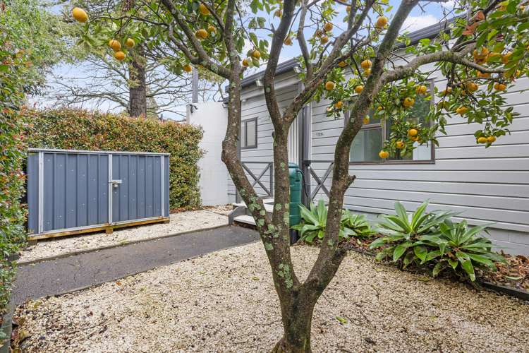 1/25A Vine Street Mangere East_15