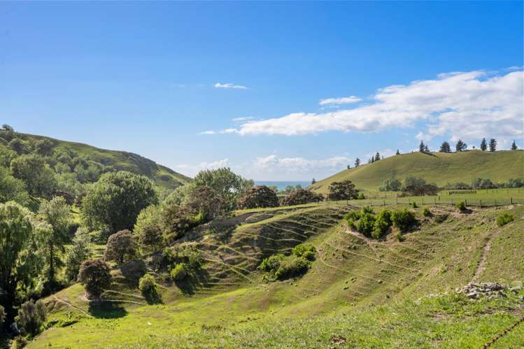 188 Ellerton Valhalla Road Kekerengu_47