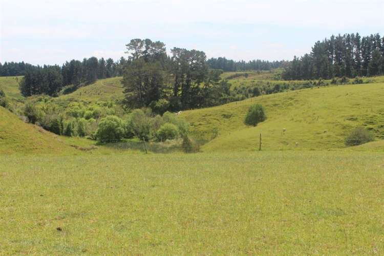 95 Wallace Loop Road Koputaroa_2