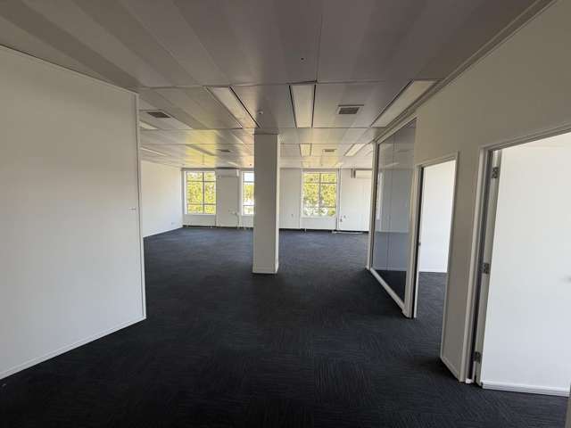 T3A/215 Hastings Street Napier South_2