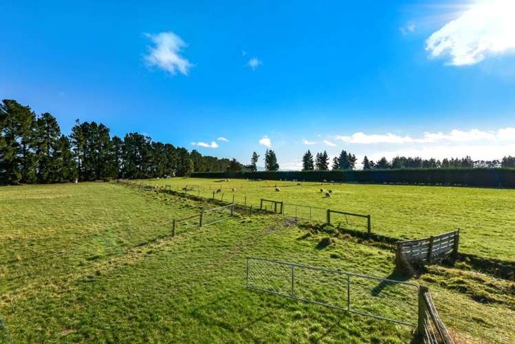 395 Courtenay Road Darfield_18