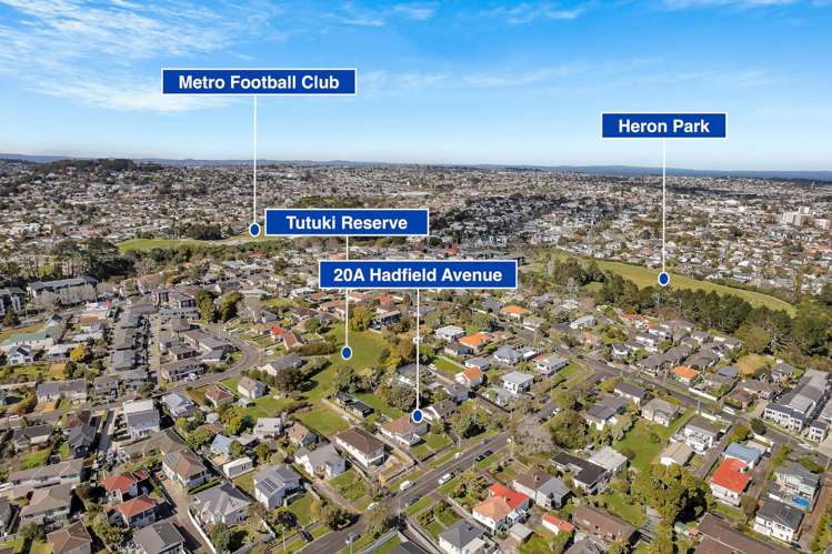 20a Hadfield Avenue Waterview_23