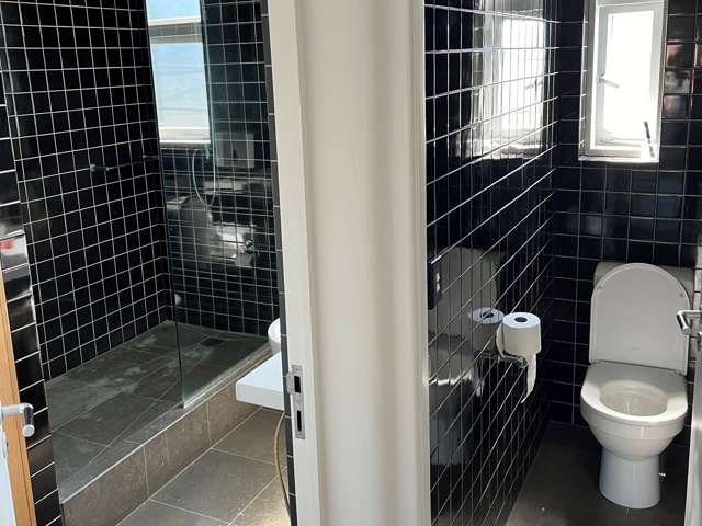 Unit A/169 Ponsonby Road Ponsonby_3