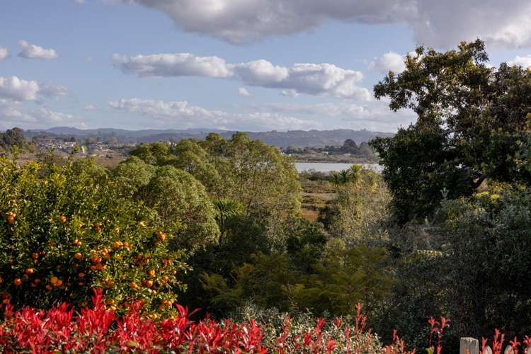 58 Hall Road Matua_23