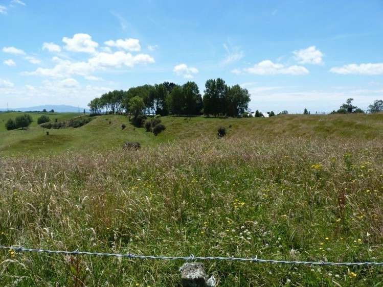 389d Paraonui Road Putaruru_10