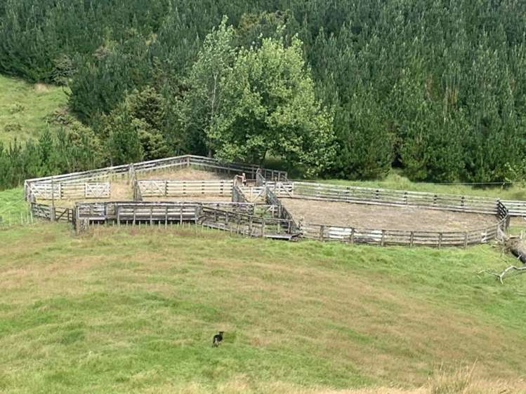 1819 Mataraua Road Kaikohe_25