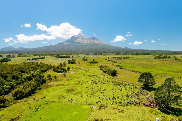 845 Kaweora Road Te Kiri_2