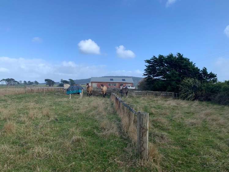 95 Frentz Road Pahia_23