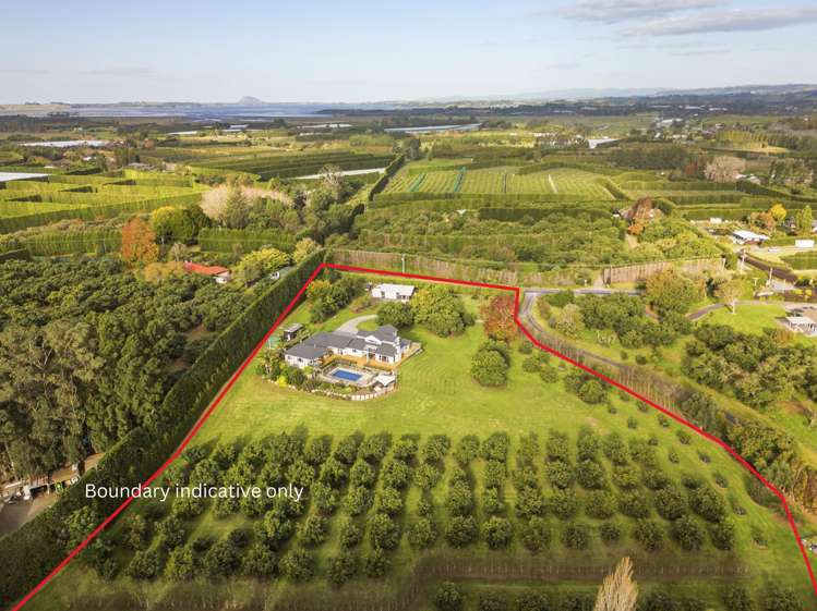 93a Walker Road East Katikati_33