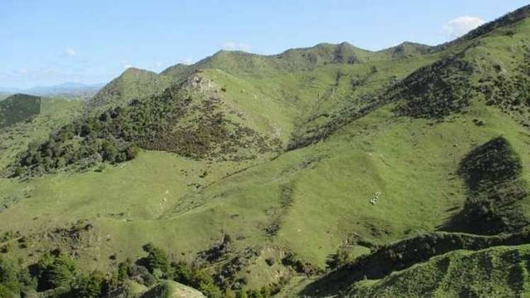 357 Summerhill Road Hinakura_12