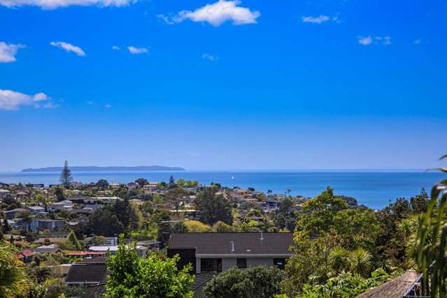 14 Galaxy Drive Mairangi Bay_2