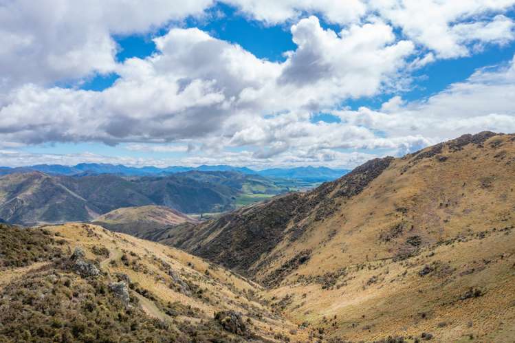 1731 Ram Paddock Road Ashley Forest_12