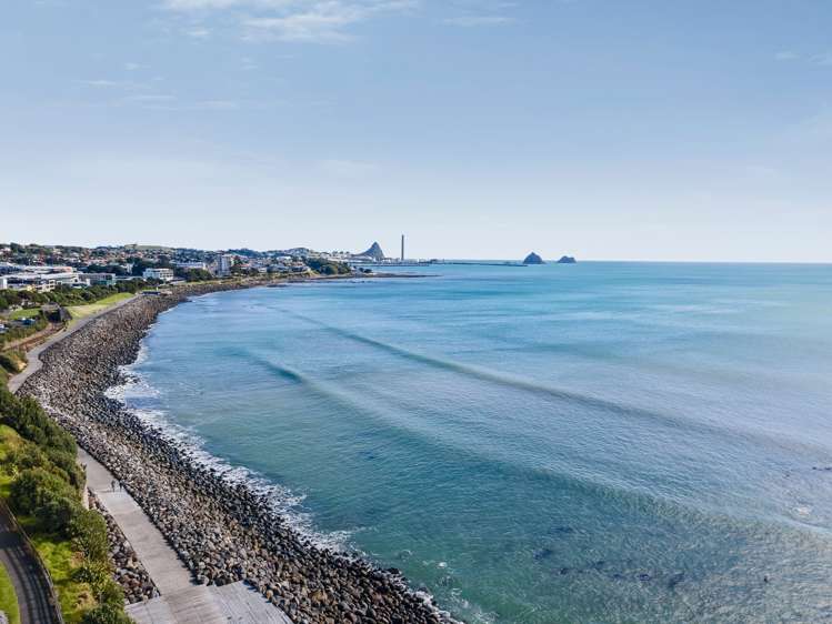 14/4 Buller Street New Plymouth Central_28