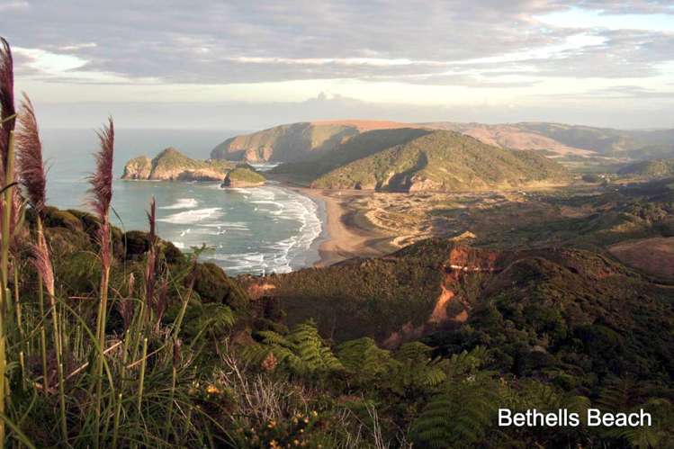 54 Mokoroa Valley Road Waitakere_14