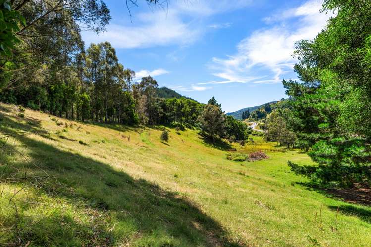 364 State Highway 1 Koromiko_26