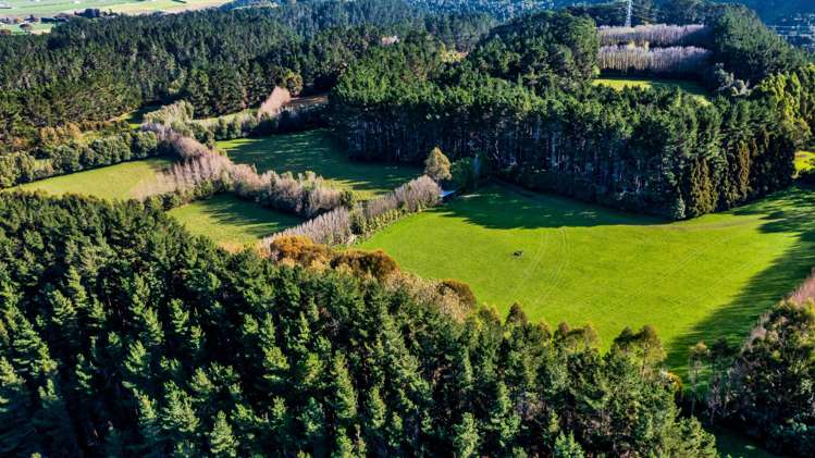 709 Ingahape Road Ohangai_4