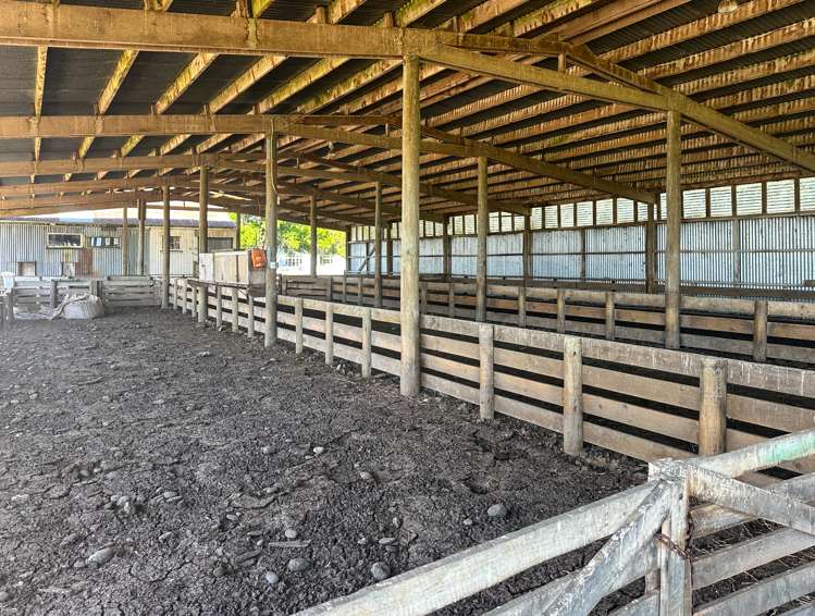 909 Nine Mile Road Riversdale_16