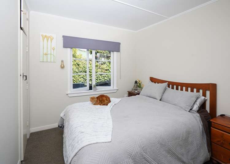 459 Waimea Road Enner Glynn_9