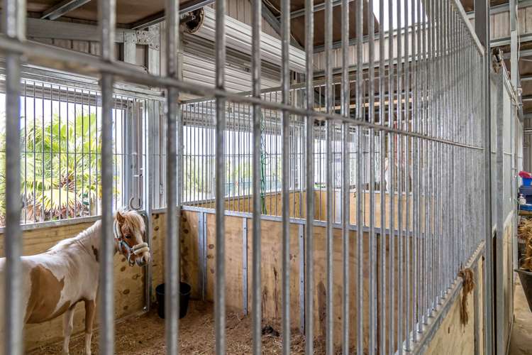 63a Poyner Road Makarau_16