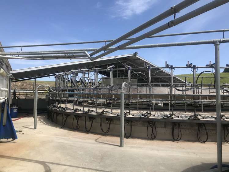 187 Mcnally Road Enfield and Surrounds_15