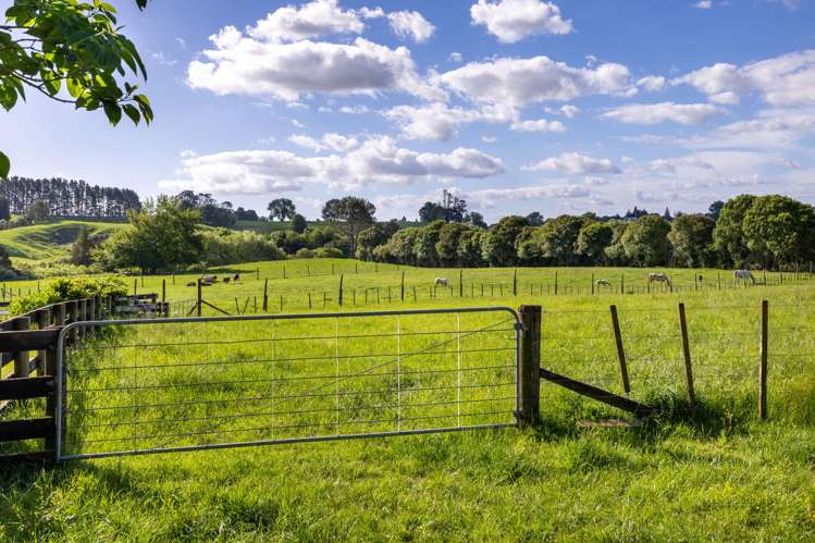 810 Pirongia Road Pirongia_17