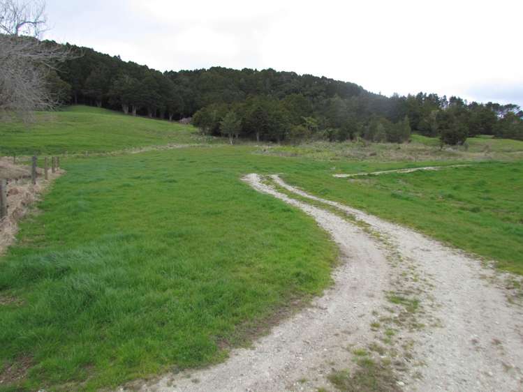 Tremain Road Ruatangata West_15