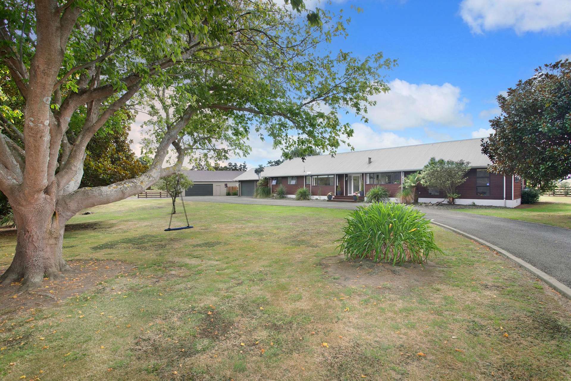 455b State Highway 1 Bulls_0