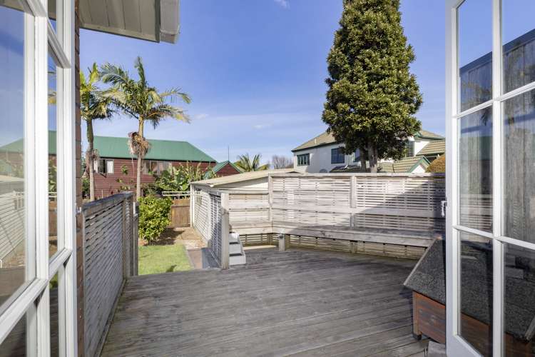 217 Campbell Road Greenlane_10