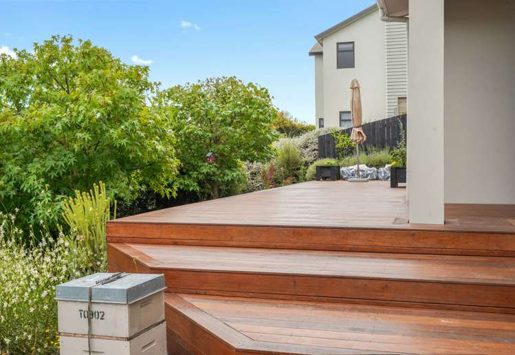 13 Cheshire Place Stoke_5