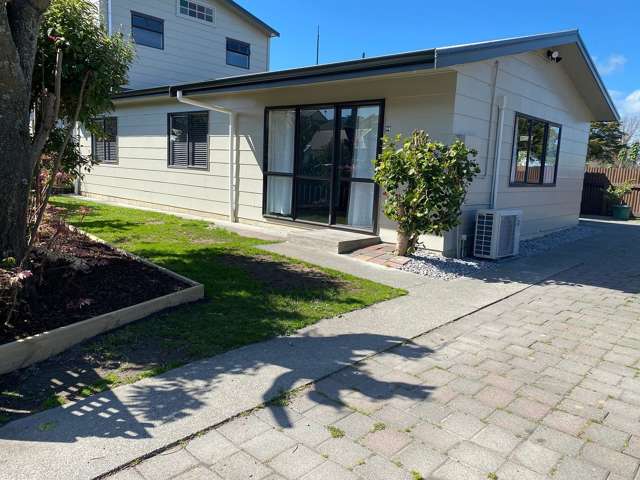 Fully renovated, 3-Bedroom Home in Napier South