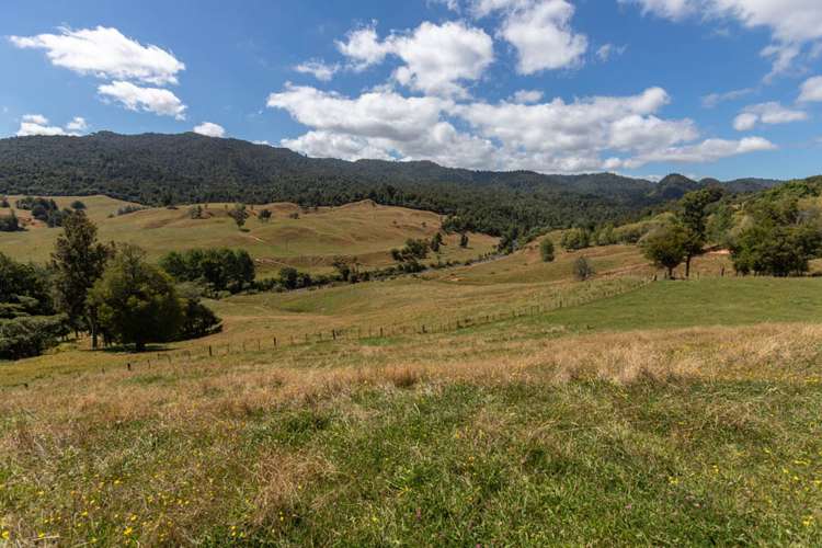 249 Franklin Road Waihi_22