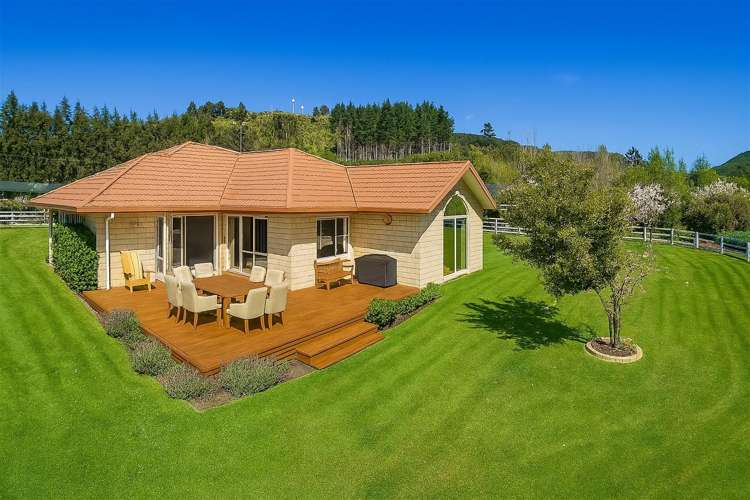 85 Emerald Hill Drive Birchville_24