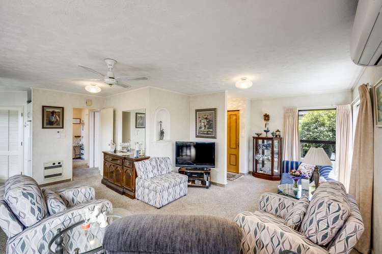 6a Chester Street Taradale_5