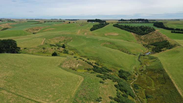 1138 Mataura Island-fortrose Road Waimahaka_5