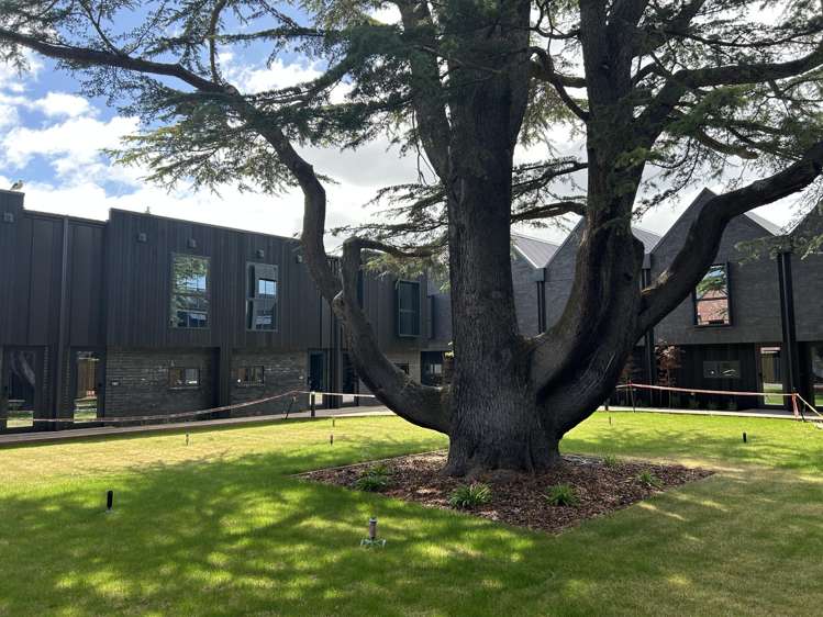 18/894 Colombo Street Christchurch Central_17