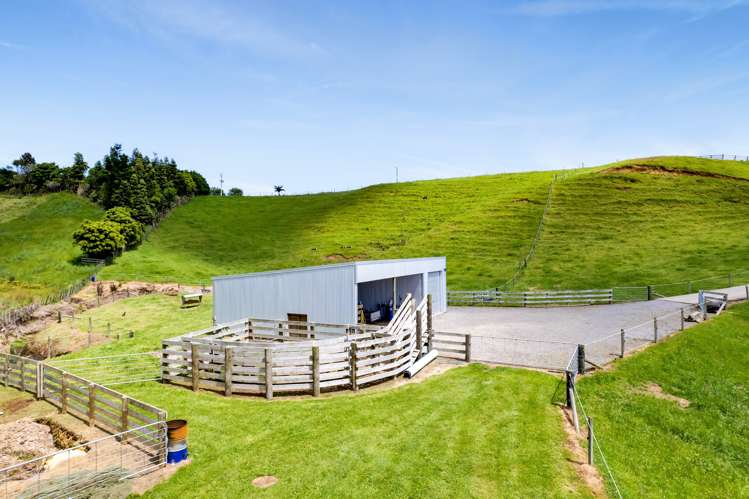 489 Smart Road Hillsborough_33