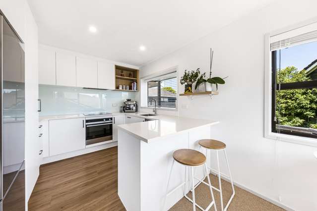 4/55 Alberta Street Point Chevalier_1