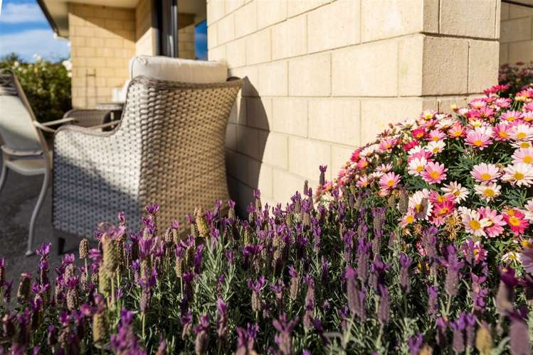 2 Korari Grove Redwoodtown_23