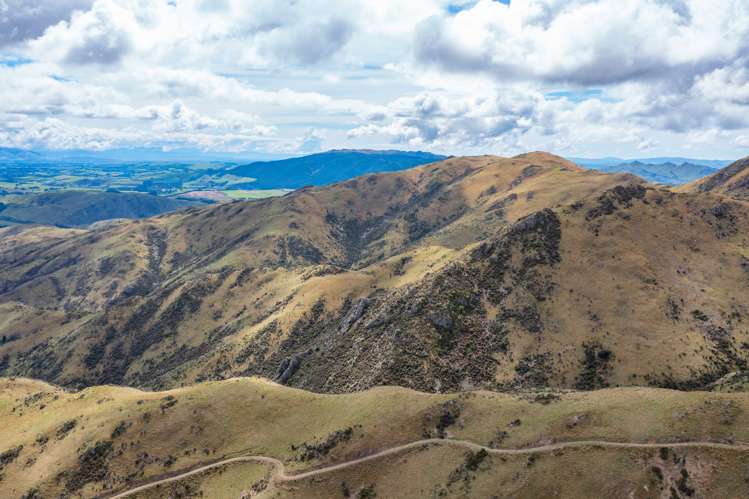 1731 Ram Paddock Road Ashley Forest_15