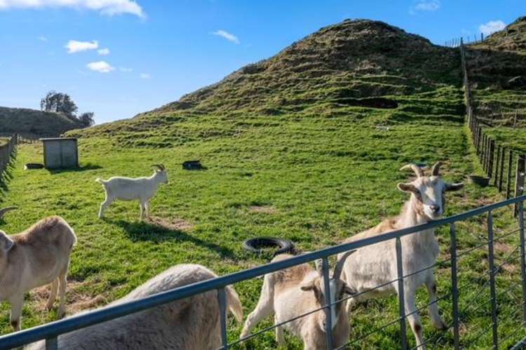 1168 Oturoa Road Hamurana_24