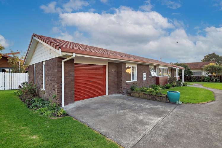 3 Mission Place Opotiki and Surrounds_30