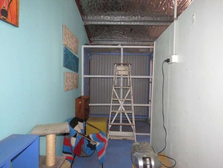 255 Gibbon Road Morrinsville_23