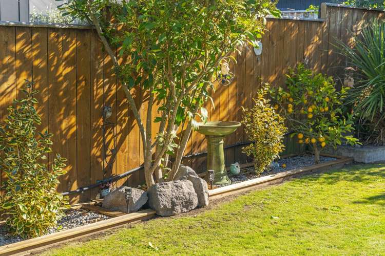 202 Acacia Bay Road Nukuhau_15