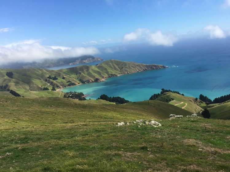 5193 Croisilles-French Pass Road Marlborough Sounds_11