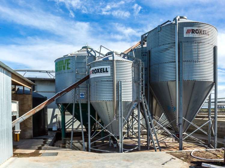 377 Emersons Road Lowcliffe_10