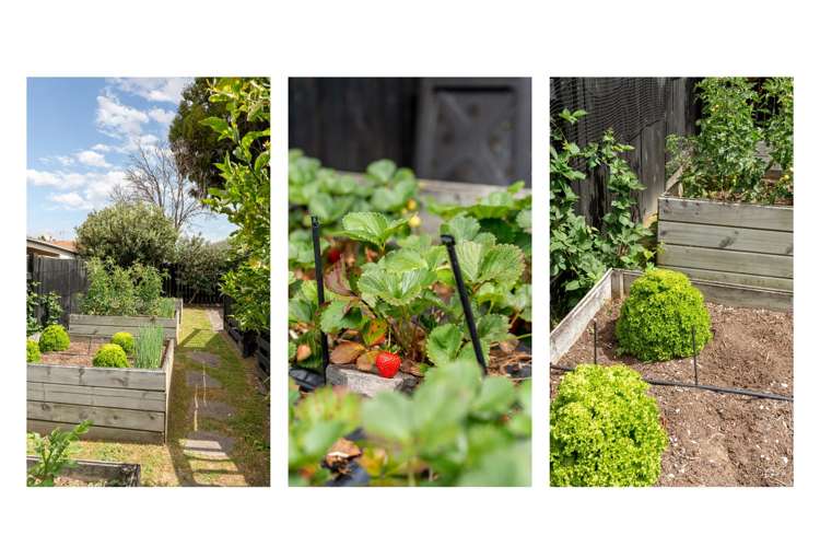 63B Coopers Road Gate Pa_21