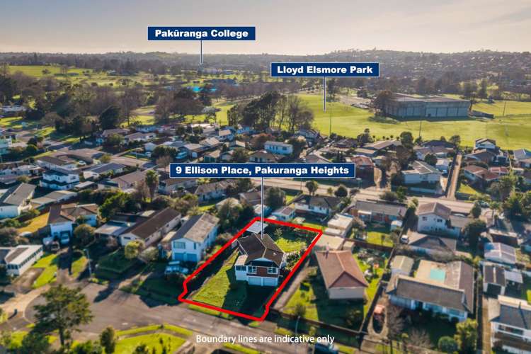 9 Ellison Place Pakuranga Heights_13