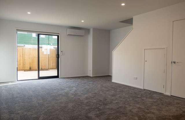 29 Hargest Crescent Sydenham_1